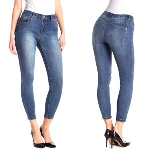 democracy jeri distressed skinny jean